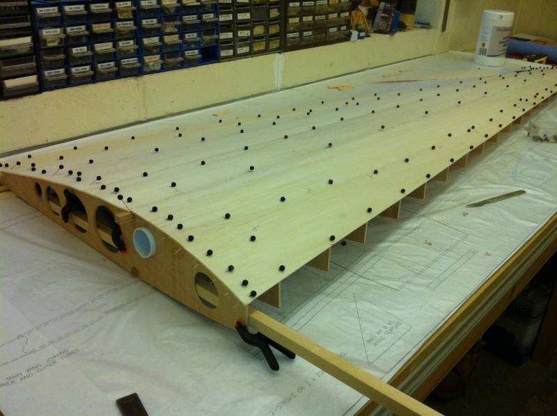 Sheeted wing.jpg