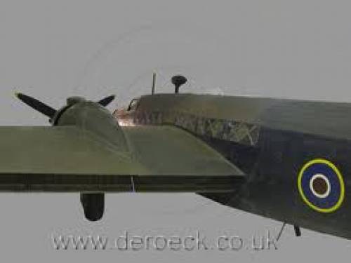 Flap detail 2.jpg